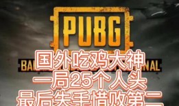 吃鸡国外爆料大神最新版,国外爆料大神独家爆料，全新内容即将上线！